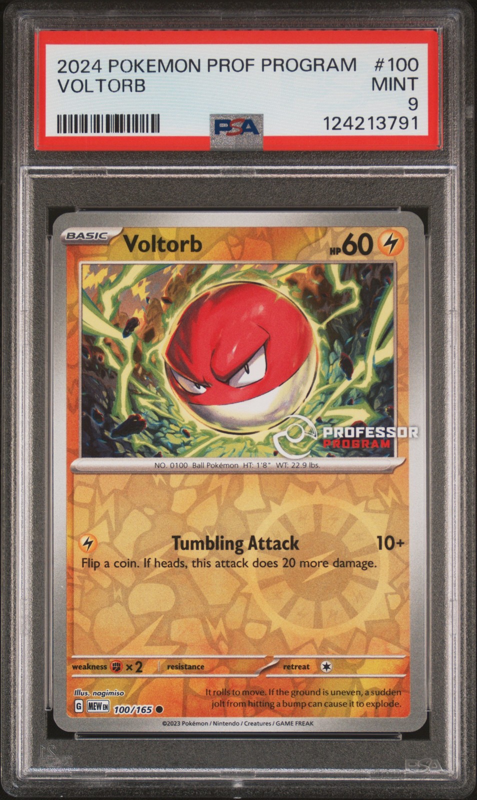 2024 POKEMON PROFESSOR PROGRAM PROMOS #100 VOLTORB PSA 9